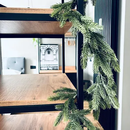 Apartment M4 Black Monolocale Moderno E Funzionale *